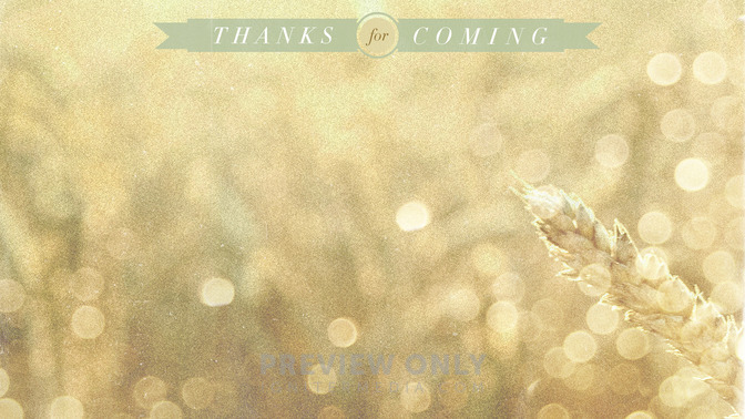 Wheat_Field_-_Thanks_For_Coming_16x9-CONTENT-2#preset=tg_alt2.jpg