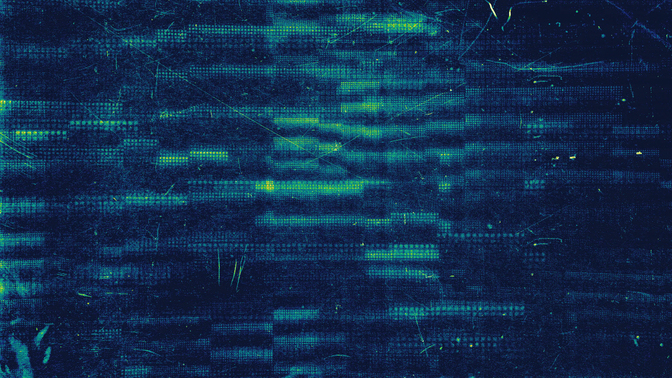 digital dust - 10