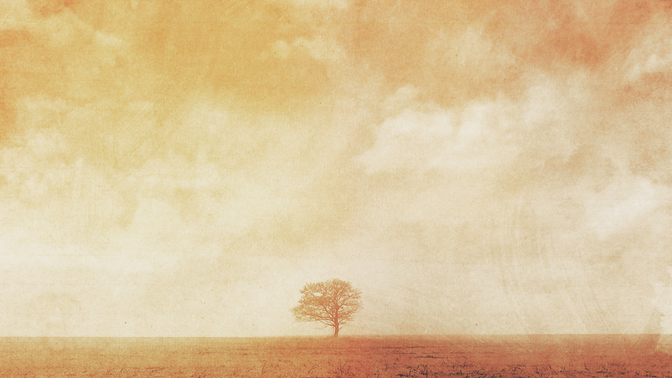 WL_TheTree_720p_Preview.jpg