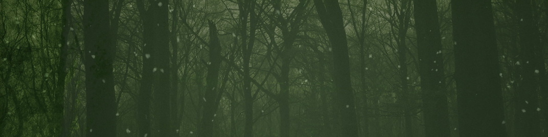 Muted_Christmas_Green_MS_1920x480.jpg
