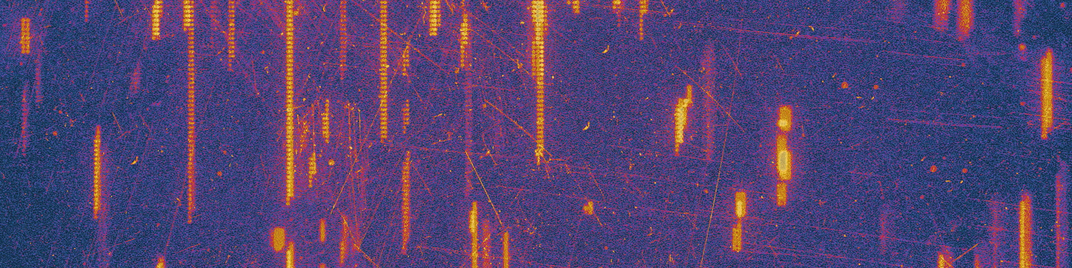 digital dust - 1