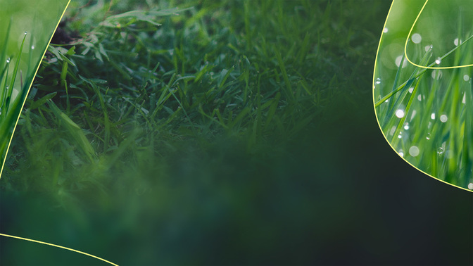 Sun_Wave_Alt2_Summer_Outreach-New_WIDE#preset=tg_alt2.jpg
