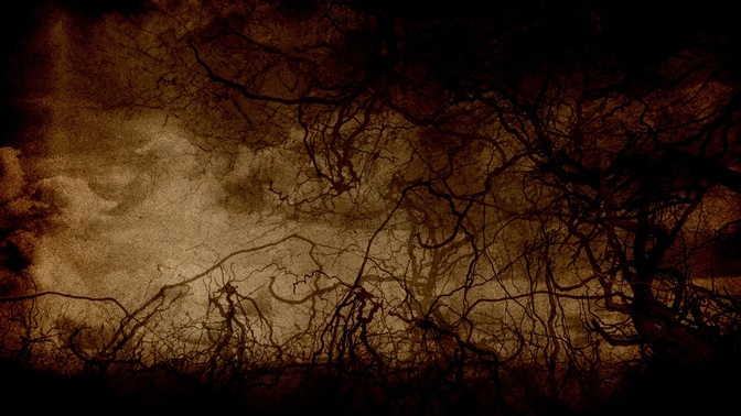 Roots_Dark_Brown_16x9.jpg