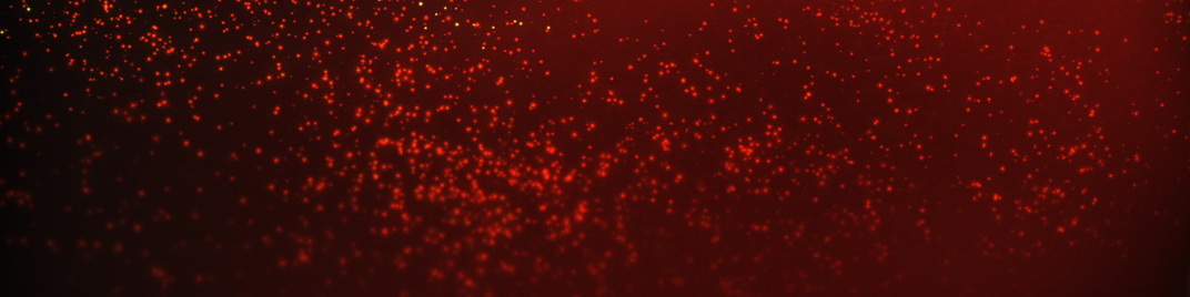 particle drop - warm