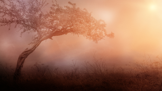 Glory_In_Tribulation_720p_Preview.jpg