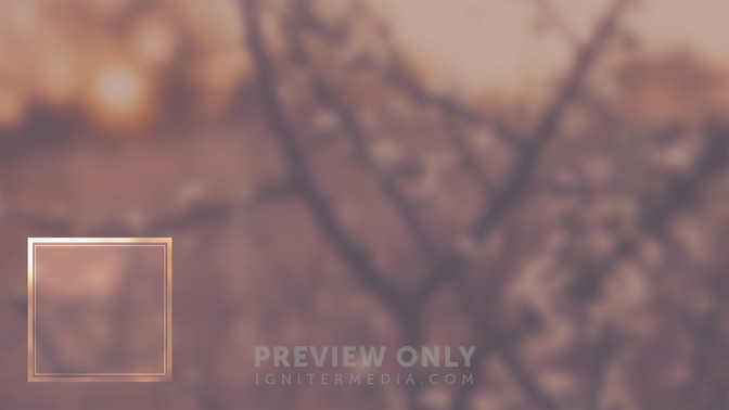 Back_To_Life_16x9-CONTENT-3#preset=tg_alt3.jpg