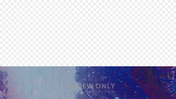 Ash-Wed-WIDE#preset=tg_transparent_png_preview.jpg