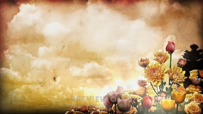 springflowers1b-HD.jpg