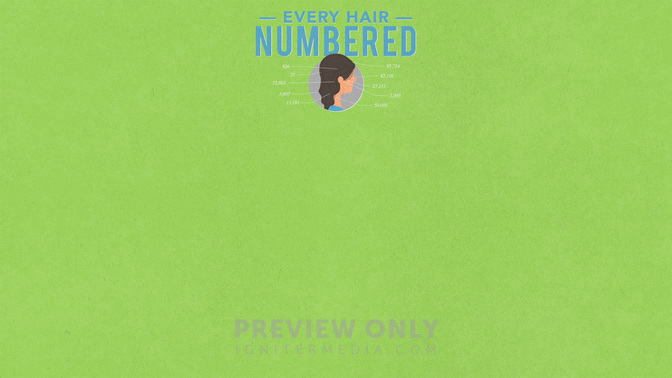 Every_Hair_Numbered_WIDE-CONTENT-2#preset=tg_alt2.jpg