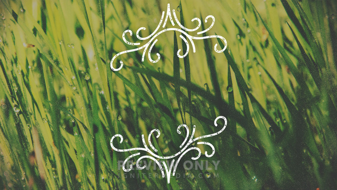Spring_Swirls_-_Offerings_16x9-TITLE-3#preset=tg_title3.jpg