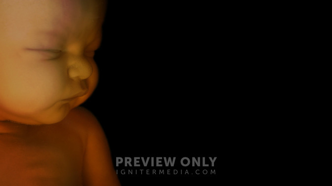 Sanctity_of_Life_Week_16x9-BACKGROUND#preset=tg_bg.jpg