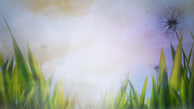 Summer_3_16x9.jpg