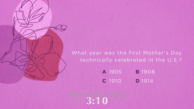 Floral Lines_Trivia_HD.jpg