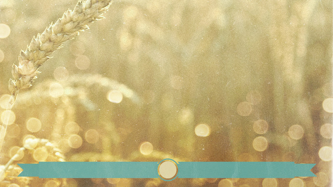 Wheat_Field_-_Tithes_and_Offerings_16x9-BACKGROUND#preset=tg_bg.jpg