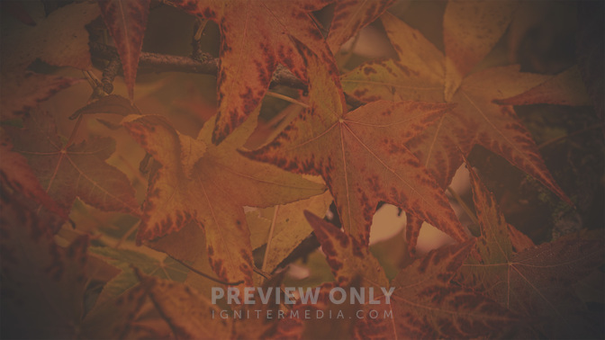Autumn_Colors-Tithing_WIDE-BACKGROUND#preset=tg_bg.jpg