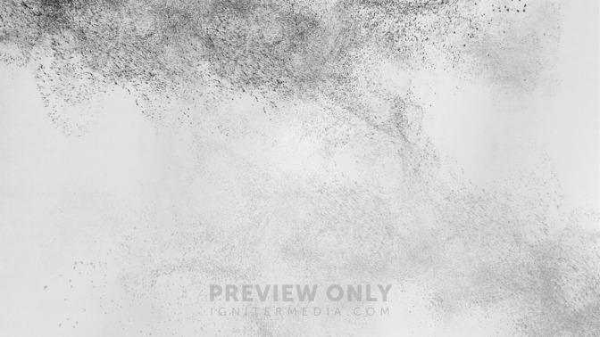 Ash_Wednesday_16x9-CONTENT-3#preset=tg_alt3.jpg