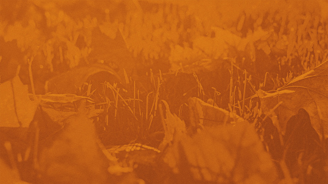 Hello_Everyone_WIDE-BACKGROUND#preset=tg_bg.jpg