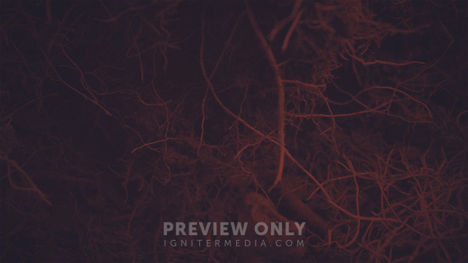 Root_of_Jesse_16x9-BACKGROUND#preset=tg_bg.jpg