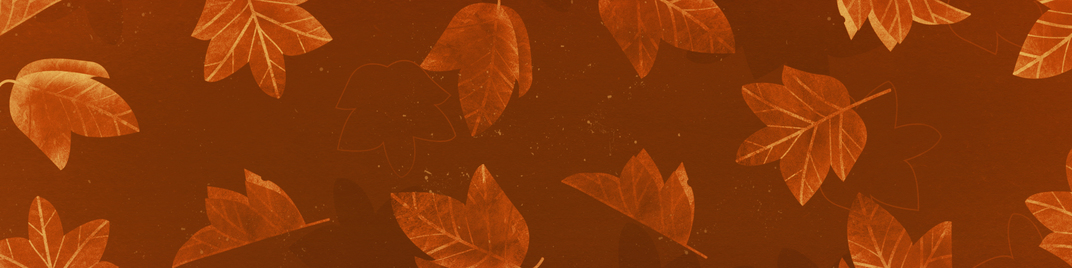 Fall_Leaves_6_UW_SD.jpg