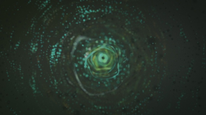 molecular swirl - green