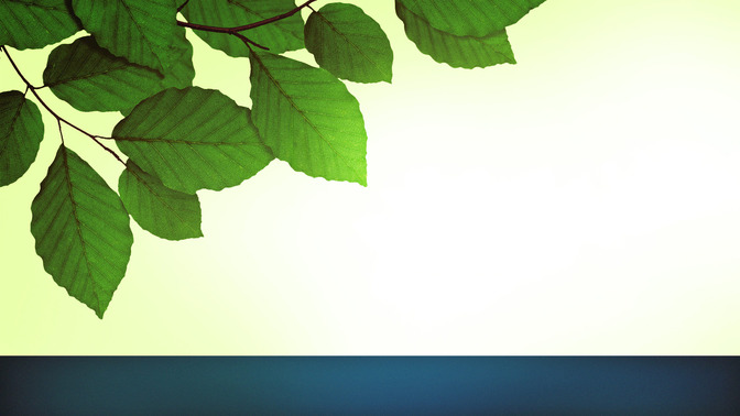 Spring_Leaves_-_Welcome_To_Church_16x9-TITLE-3#preset=tg_title3.jpg