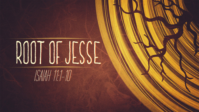 root of jesse