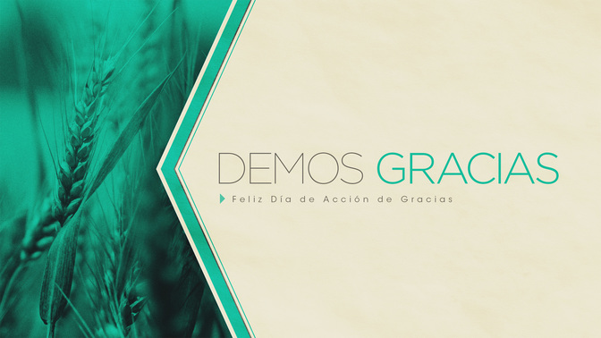 thanksgiving colors - demos gracias