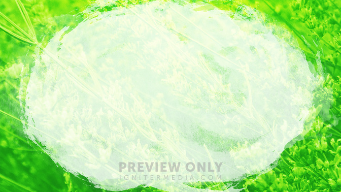 Flower_Fields-Welcome_WIDE-BACKGROUND#preset=tg_bg.jpg