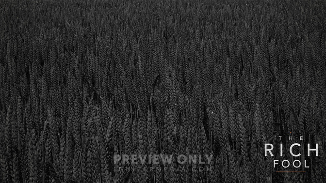The_Rich_Fool_16x9-CONTENT-2#preset=tg_alt2.jpg