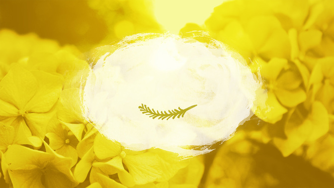 Flower_Fields-Offerings_WIDE-TITLE-3#preset=tg_title3.jpg