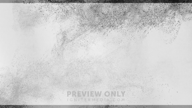 Ash_Wednesday_16x9-TITLE-3#preset=tg_title3.jpg