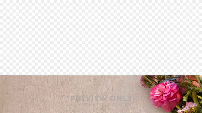 Goodbye-Spanish-WIDE#preset=tg_transparent_png_preview.jpg