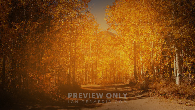 Fall_Frame_-_Welcome_16x9-BACKGROUND#preset=tg_bg.jpg