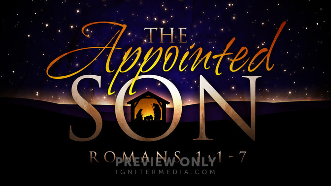 the appointed son