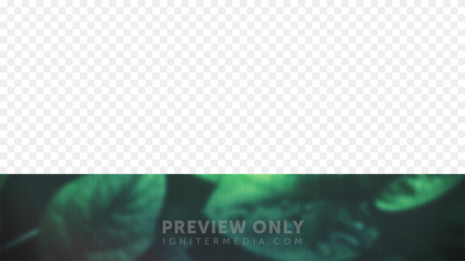 Spring_Dew-Follow_Us_WIDE#preset=tg_transparent_png_preview.jpg