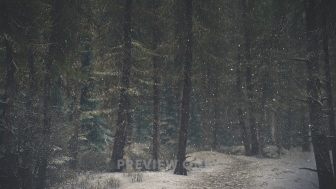 Winter_Wonderland_3_HD.jpg