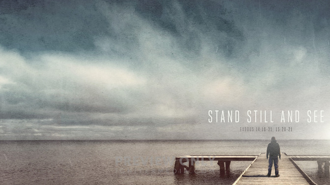 Stand_Still_and_See_16x9-CONTENT-1#preset=tg_alt1.jpg