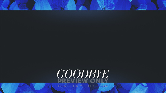 Goodbye-WIDE#preset=tg_alt1.jpg