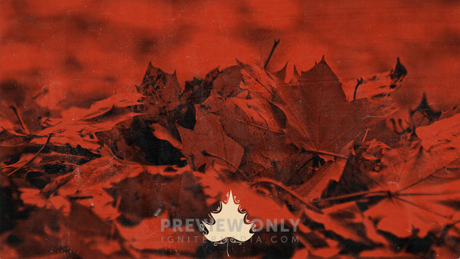 Leaf_Silhouettes_-_God_Bless_16x9-BACKGROUND#preset=tg_bg.jpg