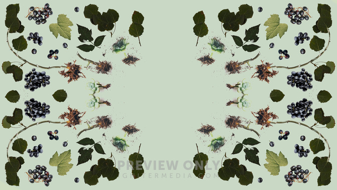 Wild_Grapes_WIDE-TITLE-3#preset=tg_title3.jpg