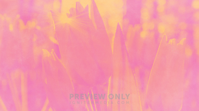 Pastel_Scenes-Events_WIDE-CONTENT-3#preset=tg_alt3.jpg