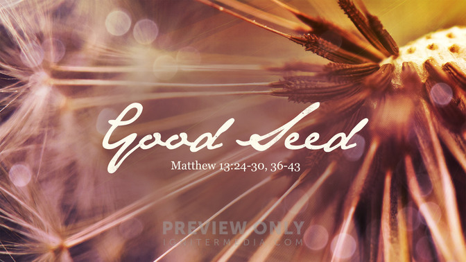 good seed