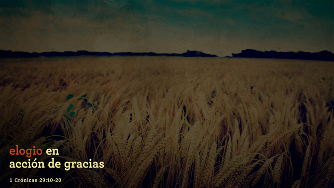 Elogio_en_Accin_de_Gracias_16x9-CONTENT-1#preset=tg_alt1.jpg