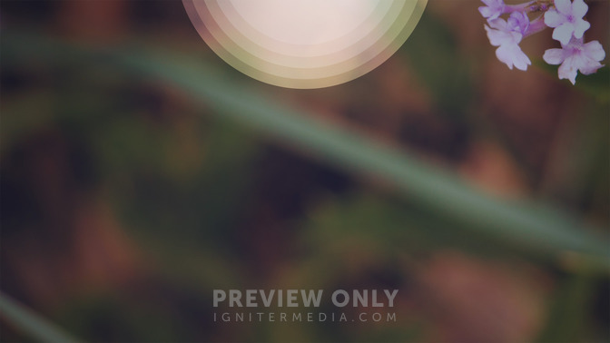 Rest_For_The_Weary_16x9-CONTENT-3#preset=tg_alt3.jpg