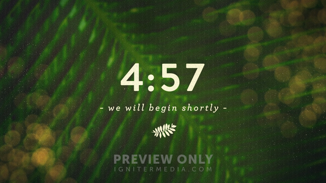 PalmBokeh_Countdown_720p_Preview.jpg