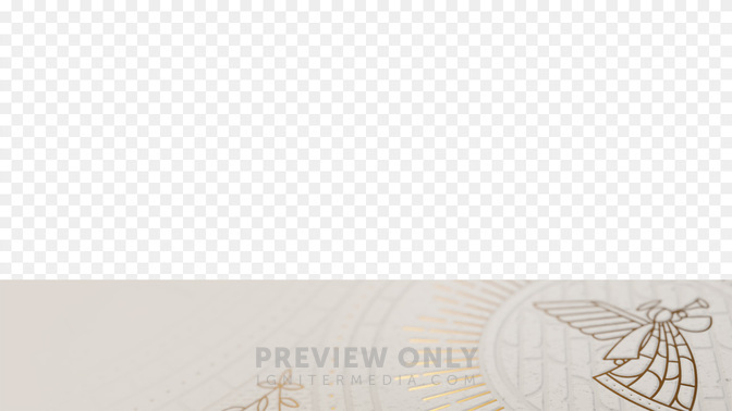 Joy#preset=tg_transparent_png_preview.jpg