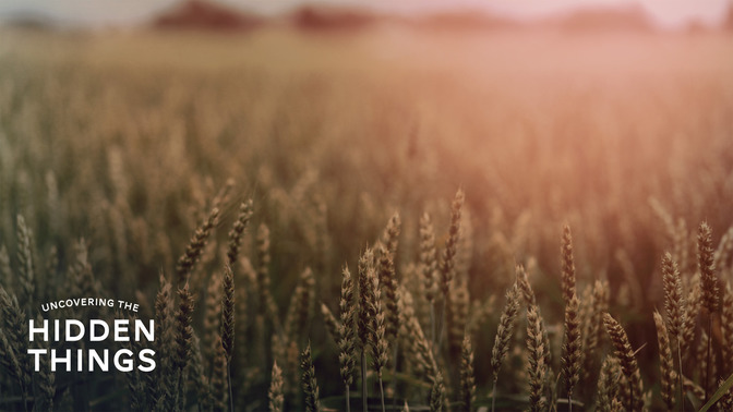Uncovering_The_Hidden_Things_16x9-CONTENT-2#preset=tg_alt2.jpg