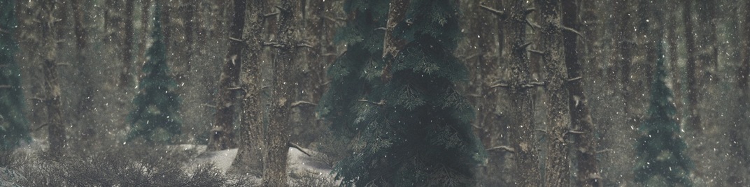 winter wonderland 5