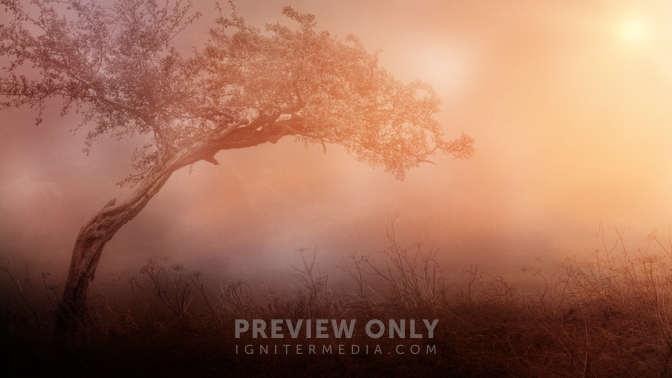 Glory_In_Tribulation_720p_Preview.jpg