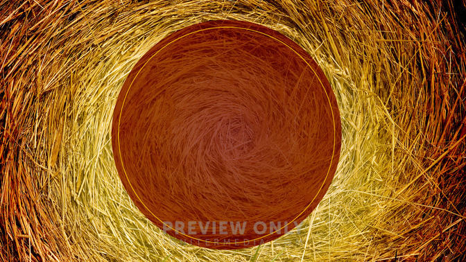 The_Nativity_Story_16x9-TITLE-3#preset=tg_title3.jpg